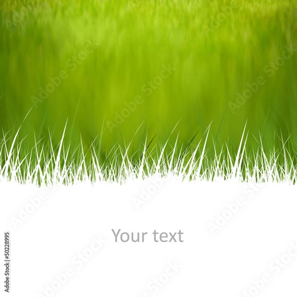 Obraz Creative natural background with room for your text