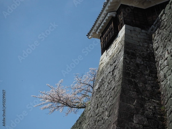 Obraz OLYMPUS DIGITAL CAMERA