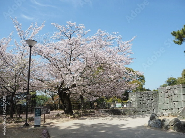 Obraz OLYMPUS DIGITAL CAMERA