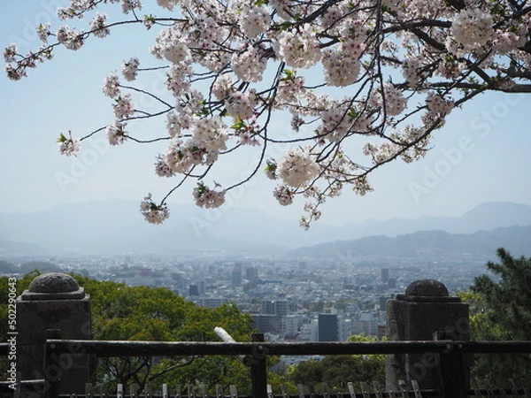 Obraz OLYMPUS DIGITAL CAMERA