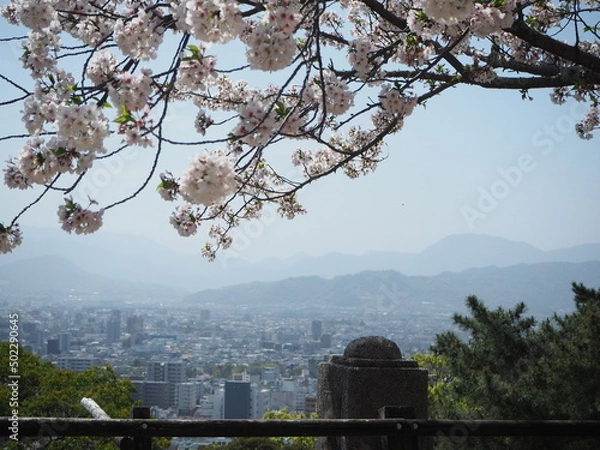 Obraz OLYMPUS DIGITAL CAMERA