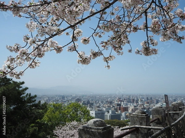 Obraz OLYMPUS DIGITAL CAMERA