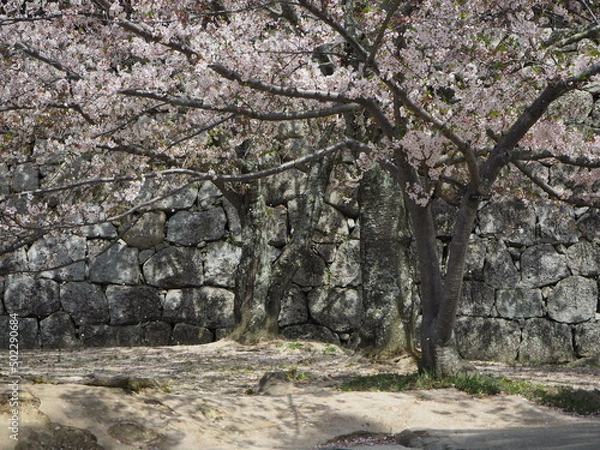 Obraz OLYMPUS DIGITAL CAMERA