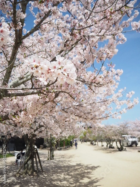 Obraz OLYMPUS DIGITAL CAMERA