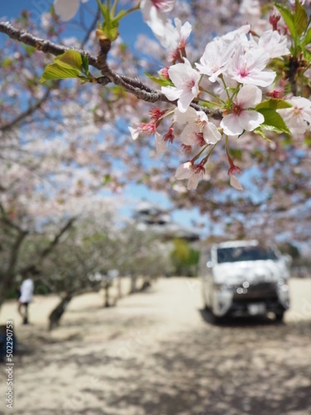 Obraz OLYMPUS DIGITAL CAMERA