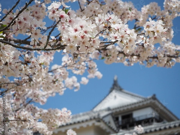 Obraz OLYMPUS DIGITAL CAMERA