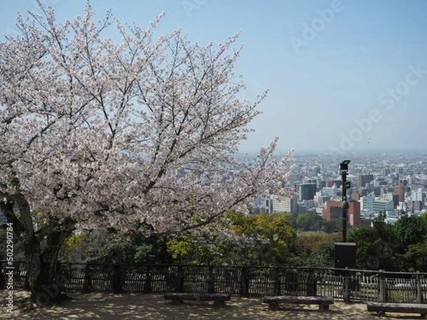 Obraz OLYMPUS DIGITAL CAMERA