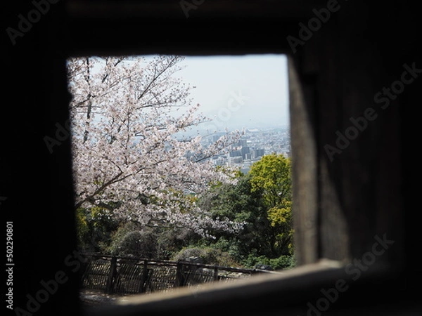 Obraz OLYMPUS DIGITAL CAMERA