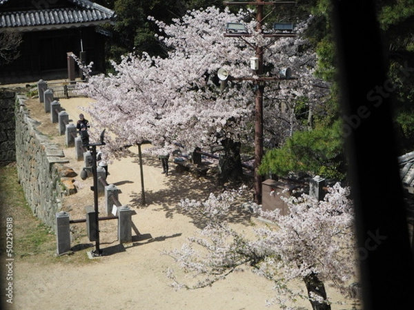 Obraz OLYMPUS DIGITAL CAMERA