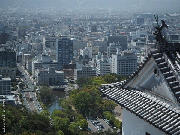 Obraz OLYMPUS DIGITAL CAMERA