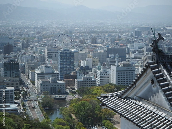 Obraz OLYMPUS DIGITAL CAMERA