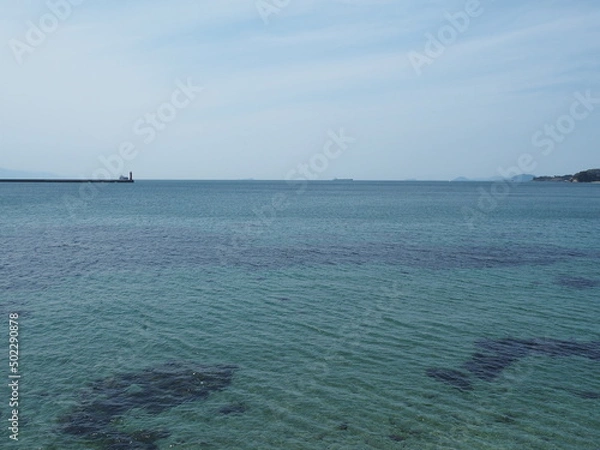 Obraz OLYMPUS DIGITAL CAMERA