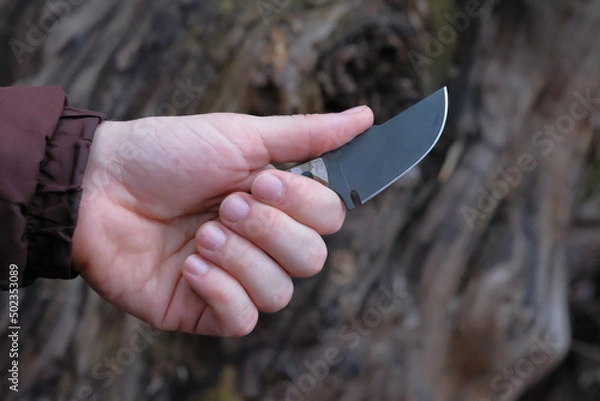 Fototapeta - Exclusive handmade knife in hands of man on background of big tree.