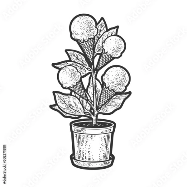 Fototapeta ice cream plant sketch engraving vector illustration. T-shirt apparel print design. Scratch board imitation. Black and white hand drawn image.