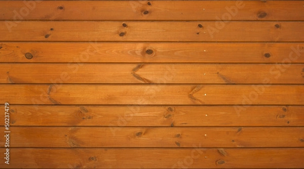 Obraz Wood texture