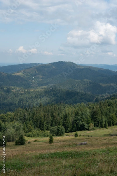 Fototapeta Amazing view on Carpathian mountains. Forest and blue sky