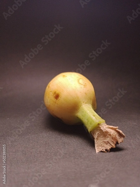 Obraz banana close-up