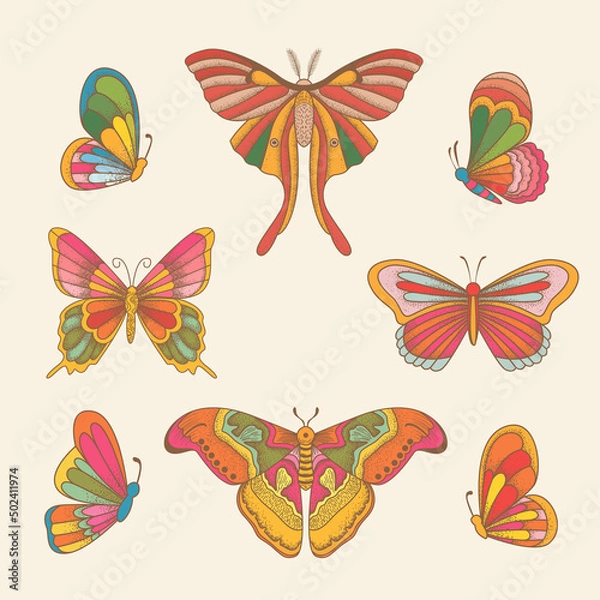 Obraz Set butterflies. Vector vintage classic illustration. Colorful