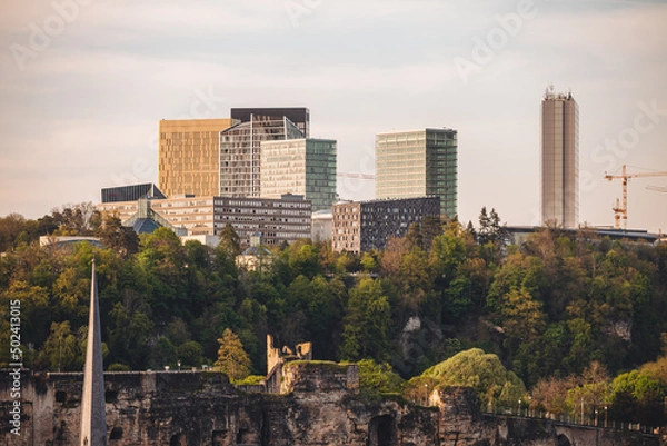 Obraz Luxembourg/April 2022: full bloom cherry tree in the city