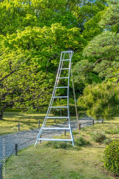 Obraz 東京都中央区　浜離宮恩賜庭園　日本庭園　庭師の道具　梯子　三脚