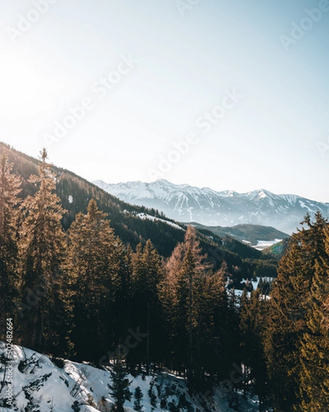 Obraz Bergpanorama mit Wald