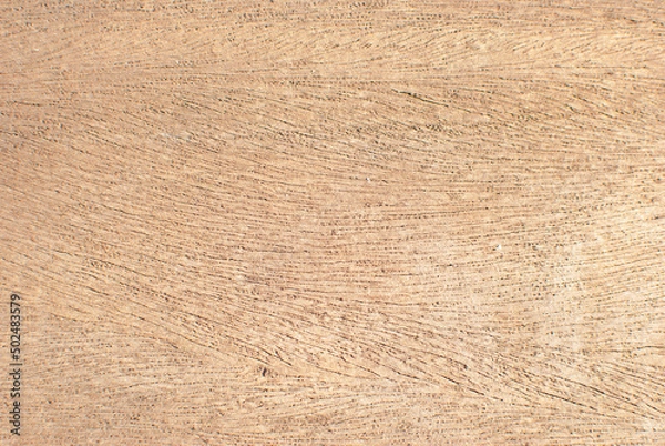 Obraz light brown wood texture 