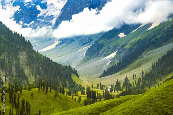 Obraz Landscape in the mountains. Panoramic view from the top of Sonmarg, Kashmir valley in the Himalayan region. Serene meadows, alpine trees, wildflowers on the trails of Great Laks of Kashmir Trek, 2022