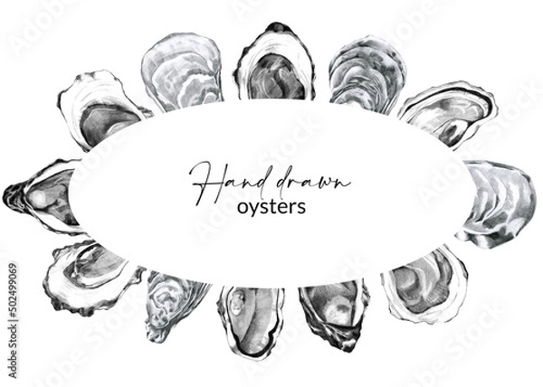 Obraz Frame with hand drawn gulf oysters