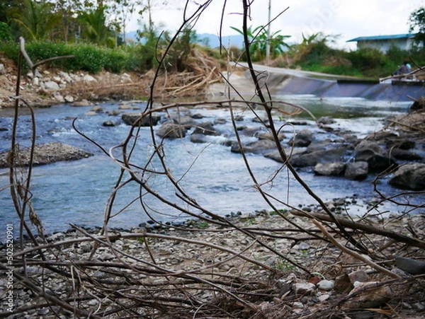 Fototapeta stream in the forest
