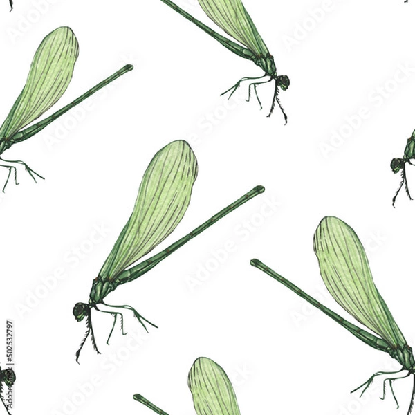 Fototapeta Dragonfly pattern in watercolor technique.Hand painting dragonfly stylish print for textile design and decoration wallpaper.