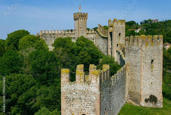 Obraz Medieval walls and towers surrounded by greenery with a blue sky background. Carrarese Castle, Este, Italy. Aerial view.