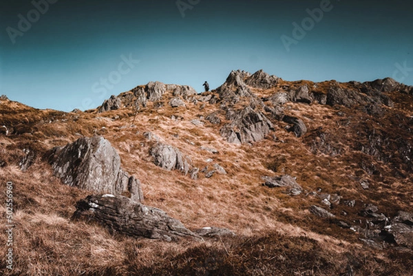 Fototapeta Climbing Ben Venue Hillwalking in the Trossachs Scotland 