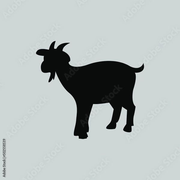 Obraz goat on a white background