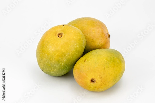 Obraz Mangoes Badami / Alphonso isolated in white background, shot using studio lighting and water drops on the subject, Composition on a wooden log with extendable white background and ample copy space.