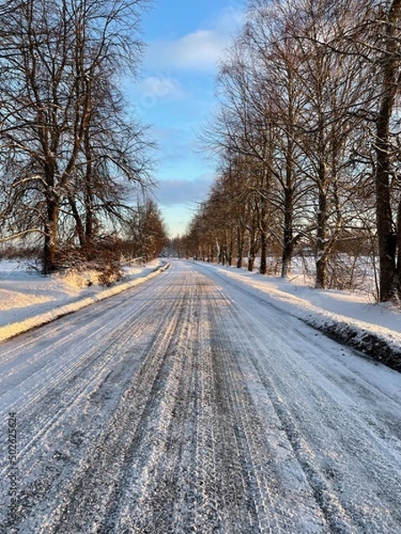 Obraz Icy road