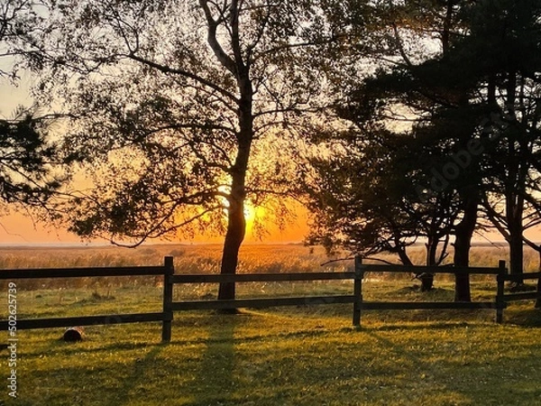 Obraz See the sunset