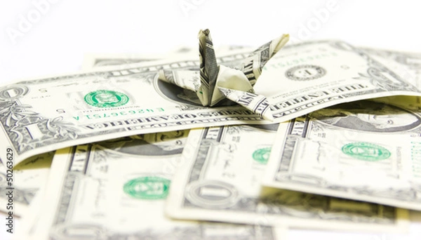 Obraz investment fund