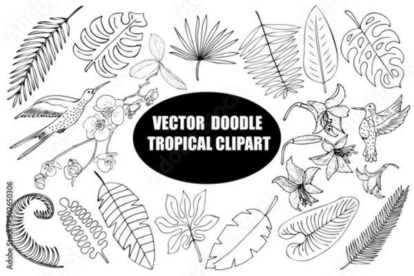 Obraz Doodle tropical vector clipart