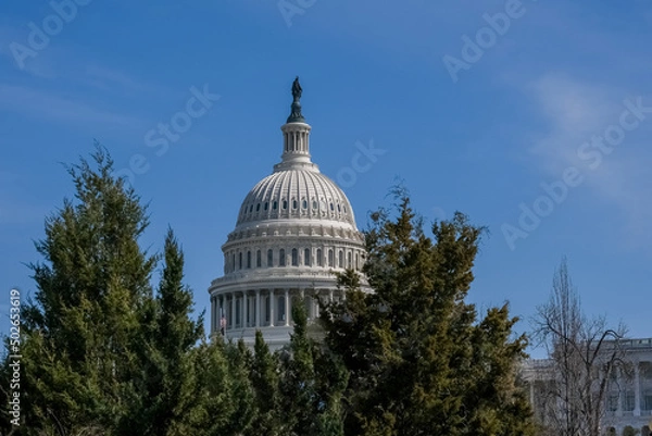 Obraz Capitol Dome and Flags Washington DC