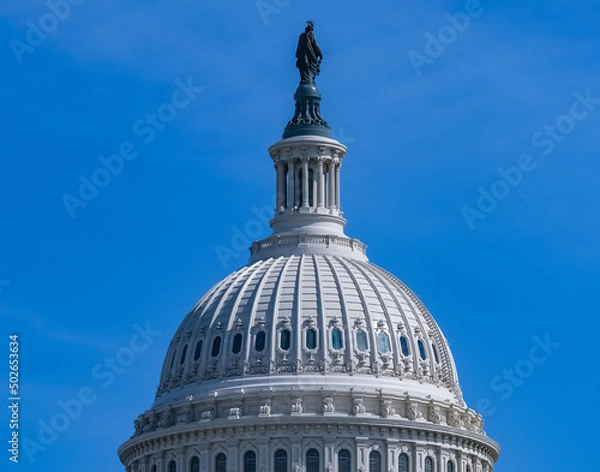 Obraz Capitol Dome and Flags Washington DC