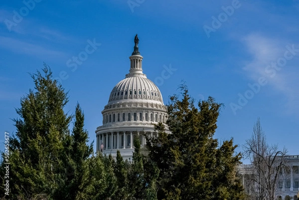 Obraz Capitol Dome and Flags Washington DC