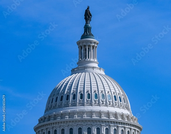 Obraz Capitol Dome and Flags Washington DC
