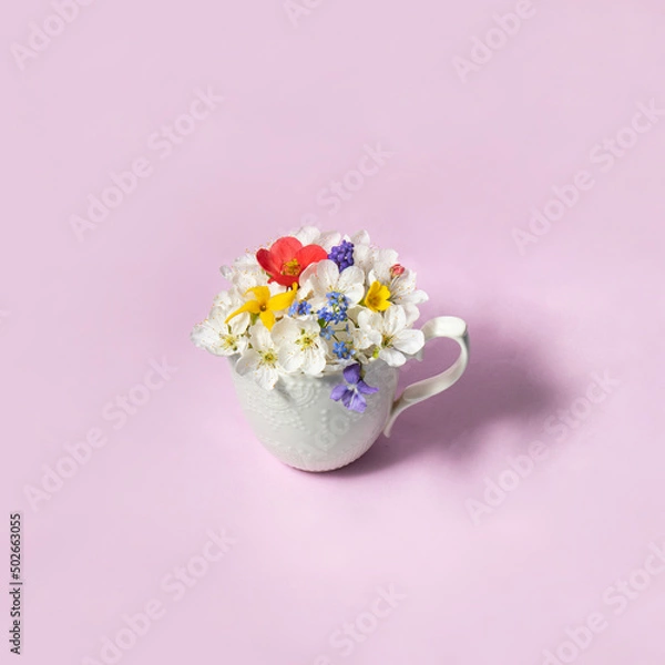 Fototapeta Colorful spring flowers in white cup on pastel light blue background. Creative flowers concept. Minimalistic nature composition with copy space. Spring tea idea.