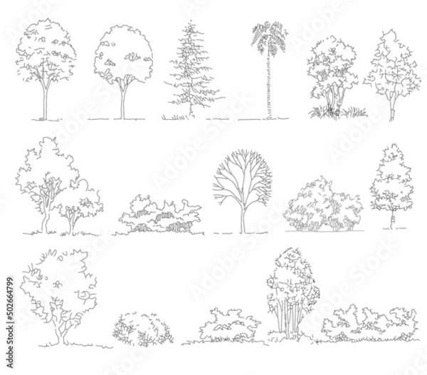 Fototapeta 手書きスケッチの樹木の立面添景（ベクター素材）