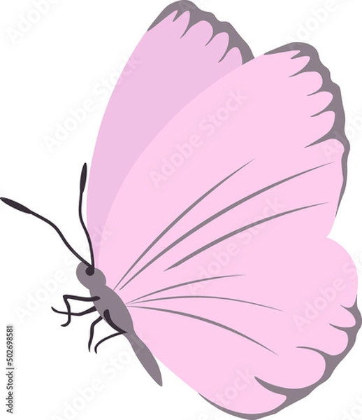 Obraz Butterflies. Insects. Multicolored.  Vector Clipart