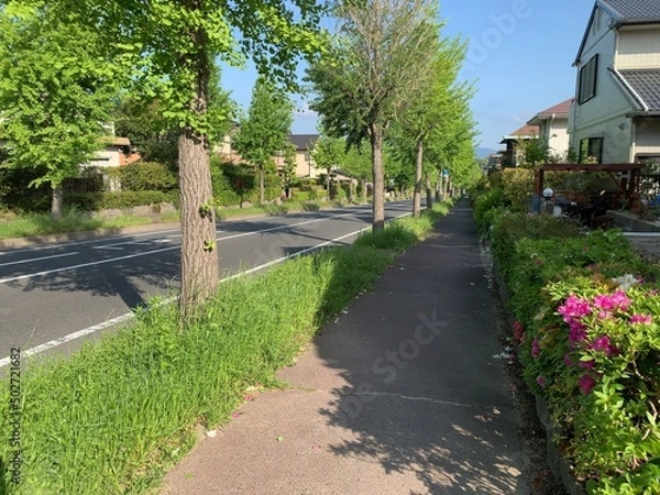 Fototapeta 青葉台の風景