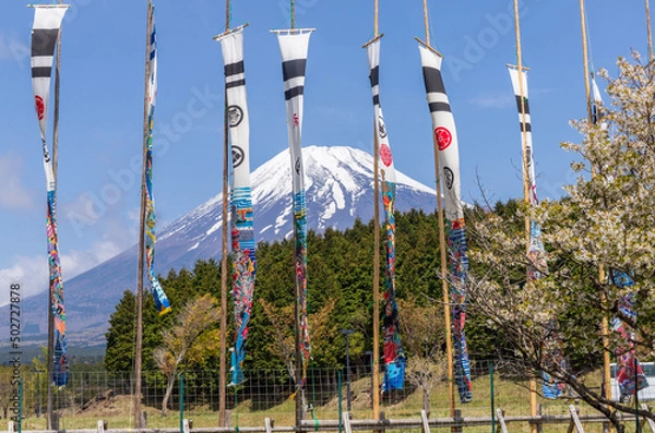 Fototapeta 富士山と鯉のぼり