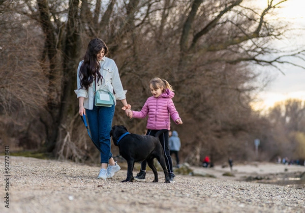 Fototapeta A young mother with a child and a dog are walking along the river in the city park.