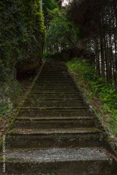 Fototapeta 石の階段