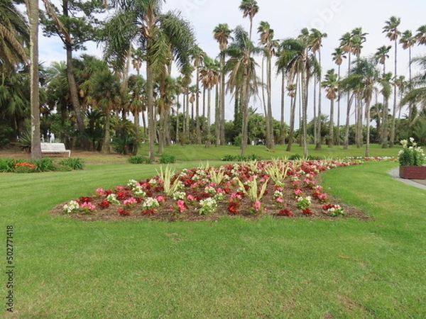 Obraz 宮崎、青島神宮とボタニックガーデン青島